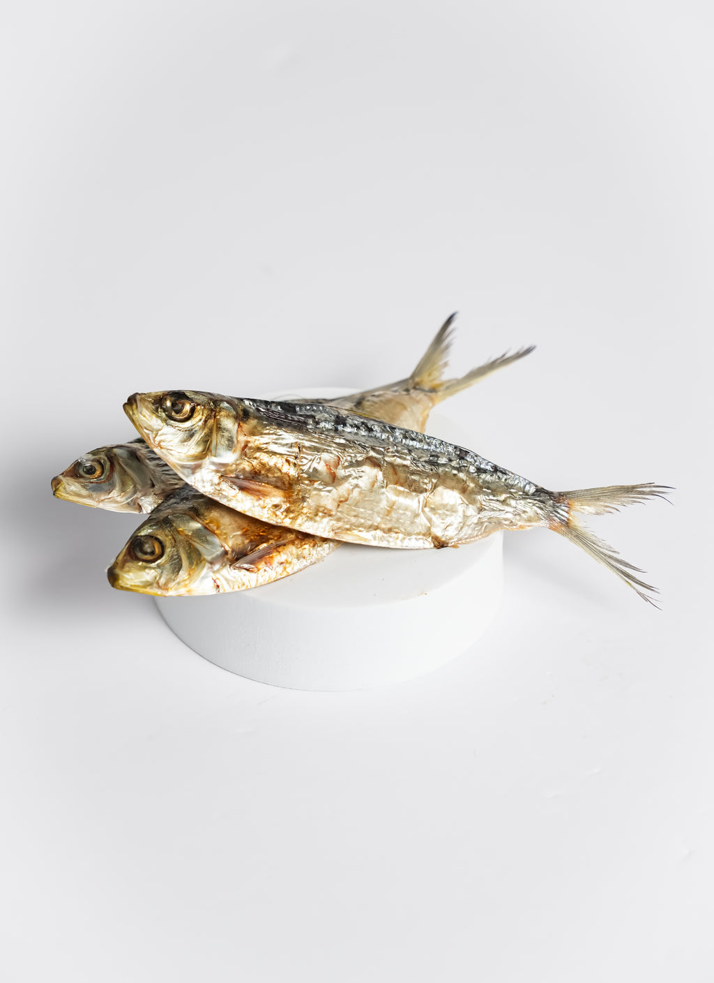 Dehydrated Sardines!